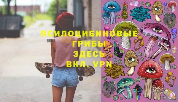 спиды Пролетарск