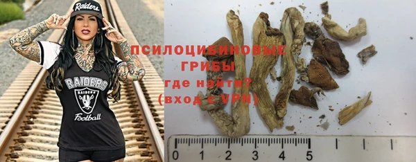 МДПВ Ельня