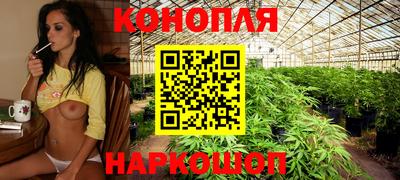 стафф Коммунар