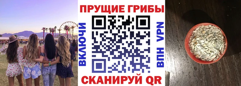 Псилоцибиновые грибы Psilocybine cubensis  наркотики  Кашира 