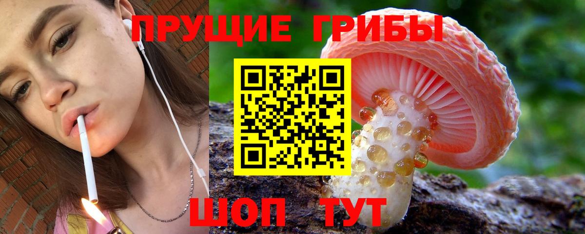 Галлюциногенные грибы мухоморы  Вход с VPN  где найти   Кашира 
